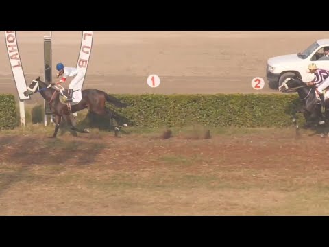 3rd Race 1100 Meter Winner Tomorrow Land | Ridden By Azan Imran Trained By Zia Ur Rehman |