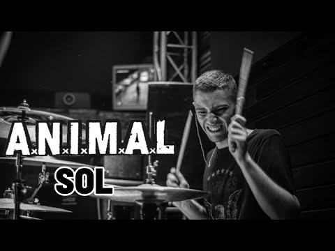 Sol - A.N.I.M.A.L   // Drum cover by Santino Kaplan