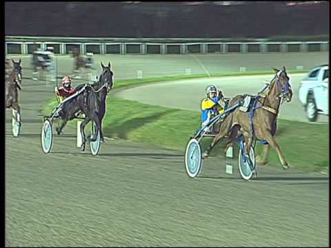 Trotto 25/11/2016 - 5ª corsa