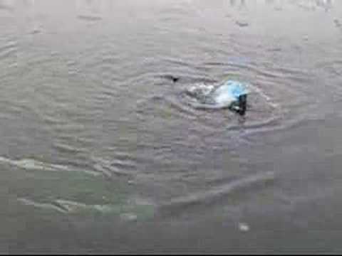 Norwegisches Olympia, Südnorwegen,Norwegen