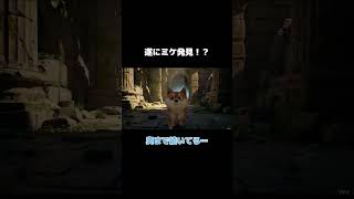 遂にミケ発見！？ #aivideo #ai