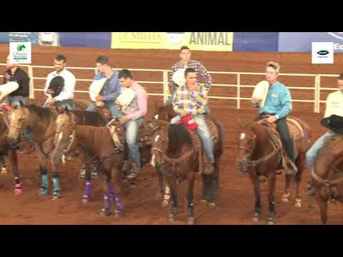 27/05/21 (ARENA GUABI) • 30º Congresso Brasileiro do Quarto de Milha