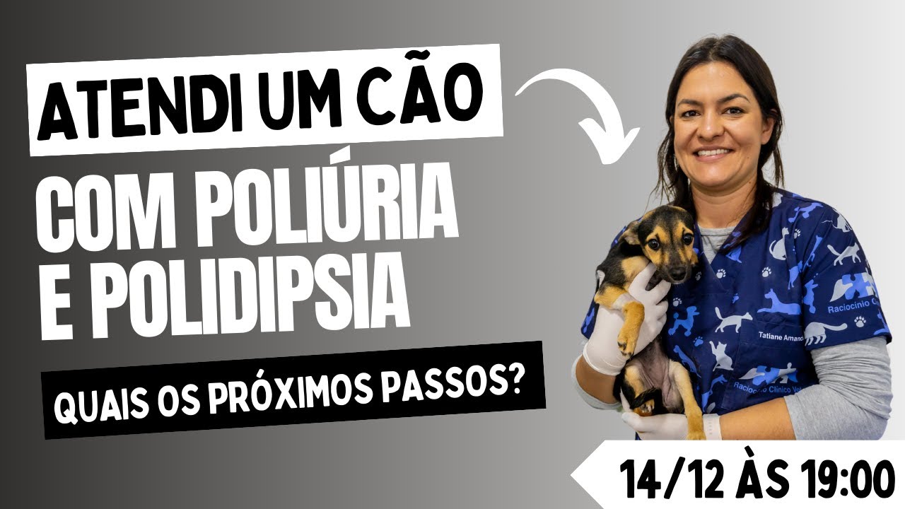 Atendi um cão com poliúria e polidipsia, quais os próximos passos?