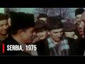 The Horse Market In Serbia 1975