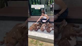 Lo más triste del mundo 😭 #fyp #sad