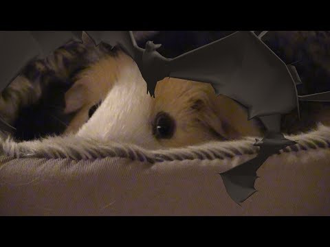 Marsu Tube: Halloween special