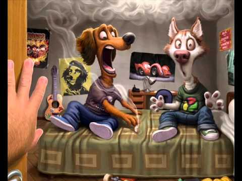 ¡RAJAOS! - PERROZLOKOS