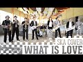 skameleon - What is love (Haddaway SKA-Cover ...