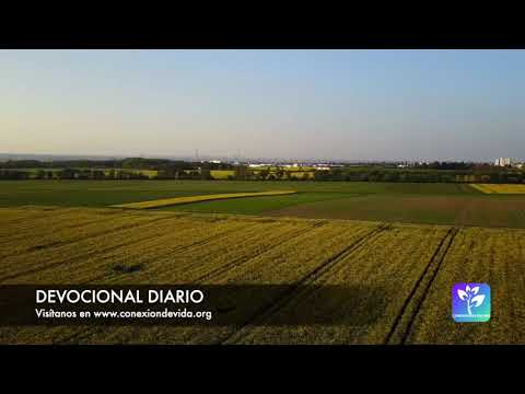 Devocional diario - 2022-08-04 - El amor de Dios Espíritu Santo