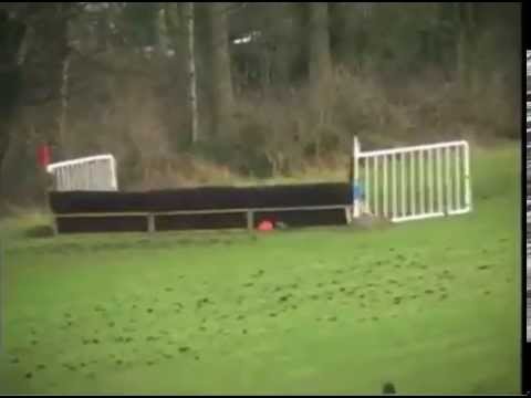 Irish racehorse goes bush!