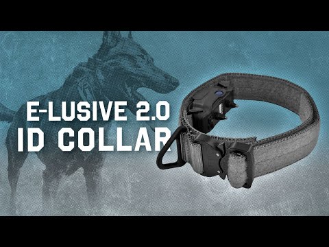 E-Lusive 2.0™ ID-Halsband | Diskretes All-in-One-Trainingshalsband