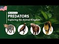 PREDATORY ANIMALS And Their SOUNDS Leopard Hawk Bear Lion
