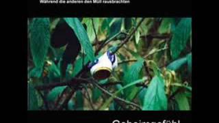 Gabriel Ananda - Geheimgefühl