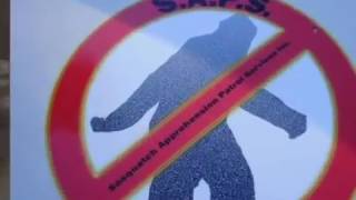 Graveyard Boulevard - Nightmerica