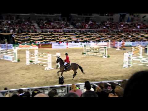 OTP Bank Lovas Világkupa 2011 #7