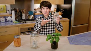 How To Use Mason Jars 🌱 Kids Activity 🌱 TRY THIS! 🌱ClearWaterKids