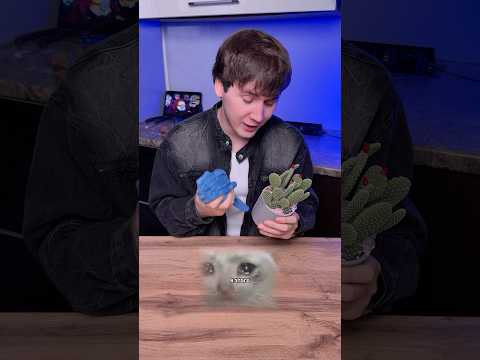 ЧТО БУДЕТ, ЕСЛИ ПРИГОТОВИТЬ КАКТУС? #быстроивкусно #рецепт #еда