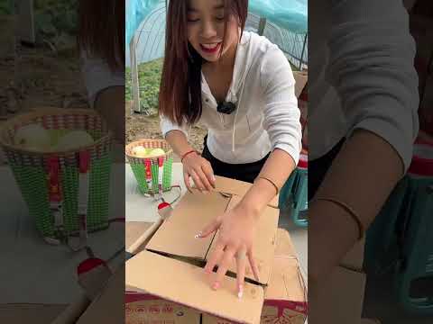 Beautiful Nature with Rural Life #1296