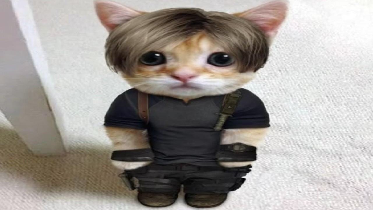 A ULTIMA LIVE INFINITA (DIA 44)