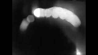 Pink Floyd -  Top of The Pops (July 6th, 1967)
