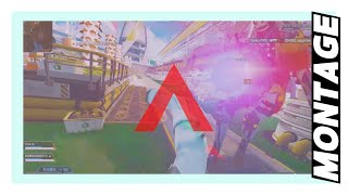 APEX MONTAGE