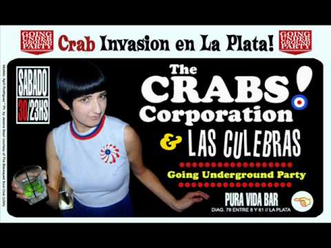 The Crabs Corporation - Reggae Preacher (Live version).