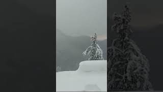 Download lagu surah in nissa #translationquranandislam #explore #quranictranslation #motivation #bayan #viral mp3 Download lagu surah in nissa #translationquranandislam #explore #quranictranslation #motivation #bayan #viral mp3