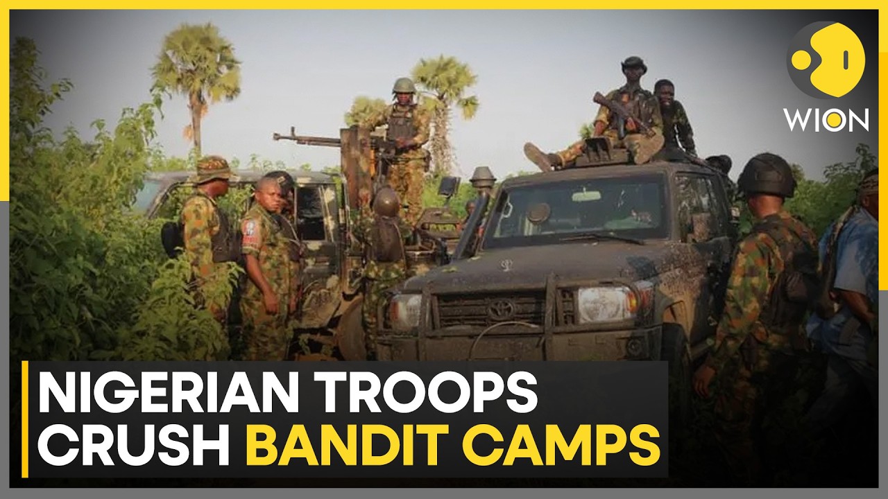 Nigeria: Bandit Enclaves Destroyed in Bauchi; Arms Recovered in Kumbodoro Forest | WION