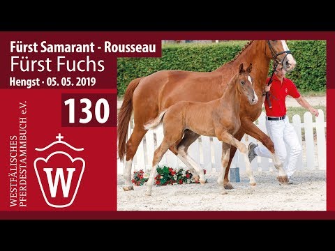 130 Fürst Fuchs Hengst v. Fürst Samarant - Rousseau