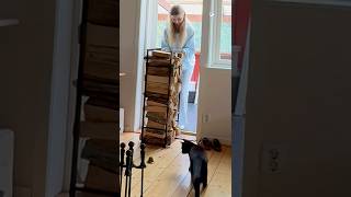 Le chat tente en vain de chasser la souris de la maison