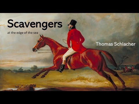 SCAVENGERS at the Edge of the Sea  (Thomas Schlacher)