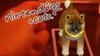 MY DOG IS REAL! (Nintendogs 3DS w/ Ze)