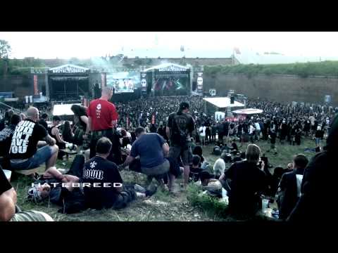 My Brutal Assault 2012