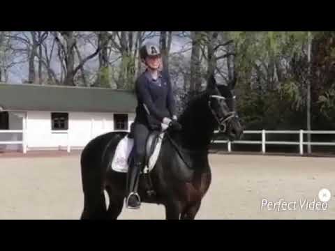 Galaxy (Training April 2020)