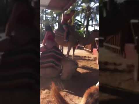 Tonicha & Martin dismount their camels