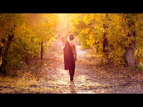 SERPO х FOREN - алыми закатами (2019)