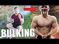 I'M OFFICIALLY BULKING