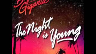 Big Gigantic - The Night Is Young (ft. Cherub)