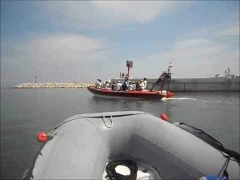 Rete Conservazione Tartaruga Marina & I Gre delle Marche - 2012