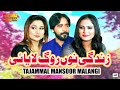 Zindagi Nu Rog Laya E Tajammal Mansoor Malangi Official Video Shaheen Studio
