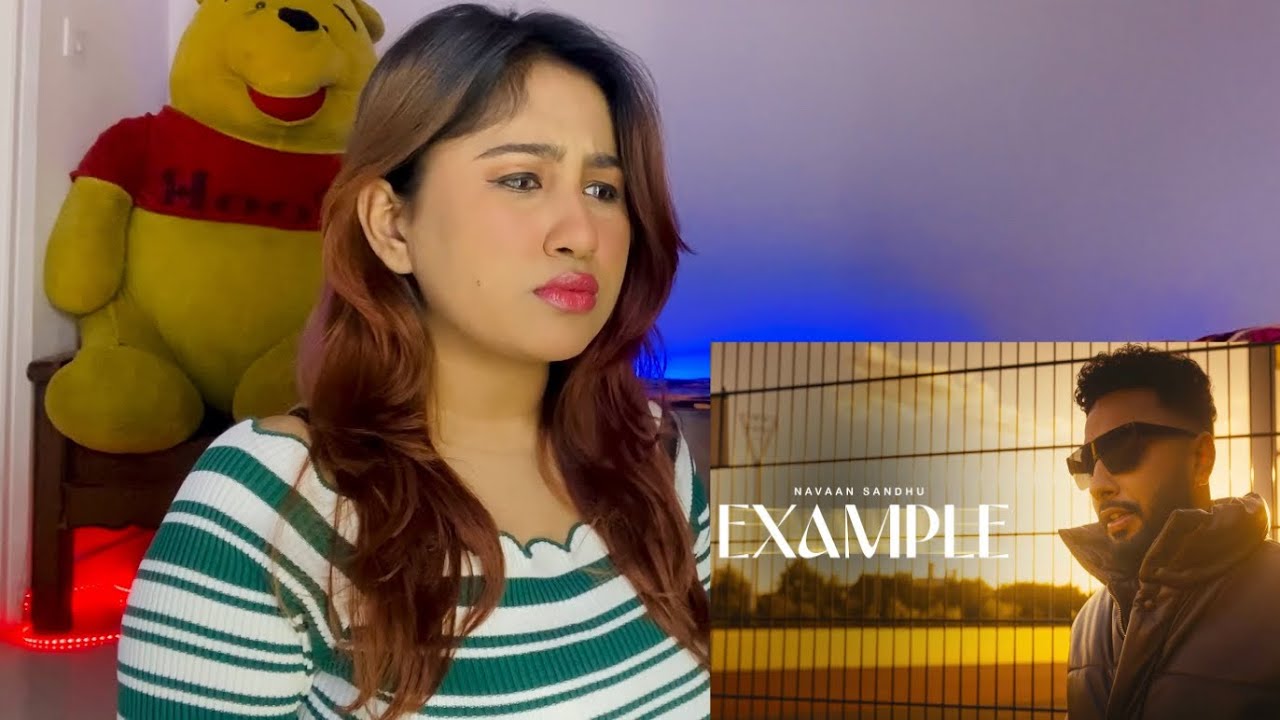 Reaction on Example : Navaan Sandhu