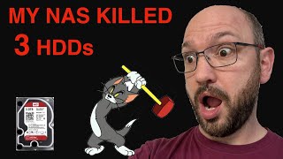 Meine Erfahrung mit ASUSTOR! | VLOG #11