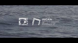 Insistir (To Insist) - Trailer