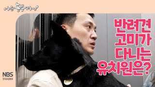 [나는농부다 251회] 반려견 고미가 다니는 유치원은?