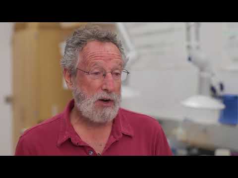 Research in a minute: Don Levitan