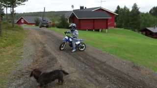 preview picture of video 'Lauri 5v ja Yamaha PW50 pikkucrossi'