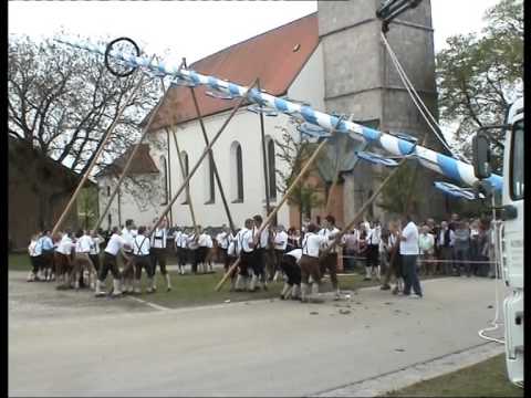 Maibaum aufstellen 2010 in Grünthal