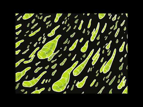 Razbibriga - Battleground [STG024]