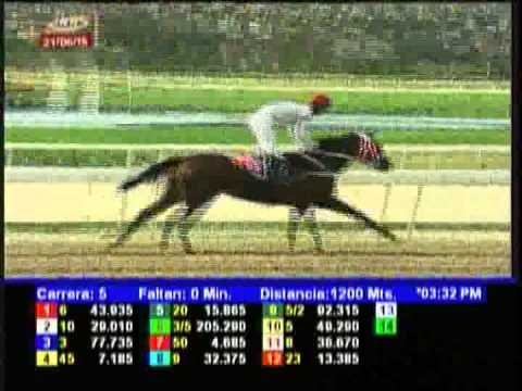 Resumen Domingo, 21 de Junio de 2015 - La Rinconada