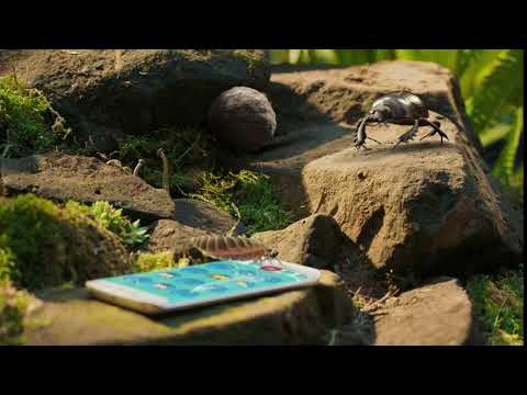 Video preview
